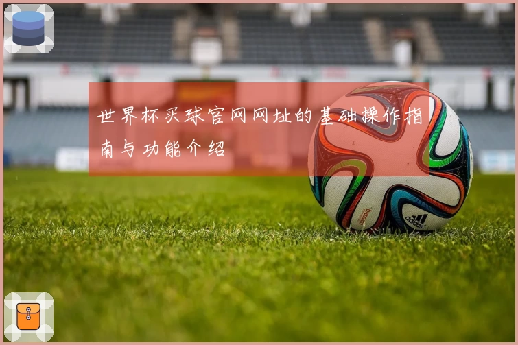 世界杯买球官网网址的基础操作指南与功能介绍