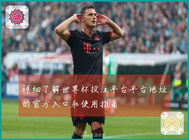 详细了解世界杯投注平台平台地址的官方入口和使用指南
