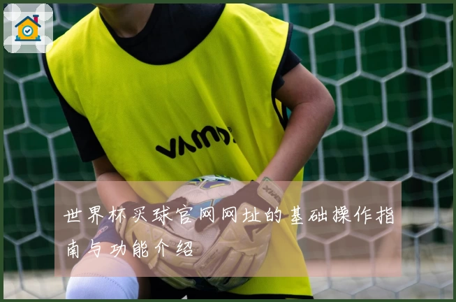 世界杯买球官网网址的基础操作指南与功能介绍