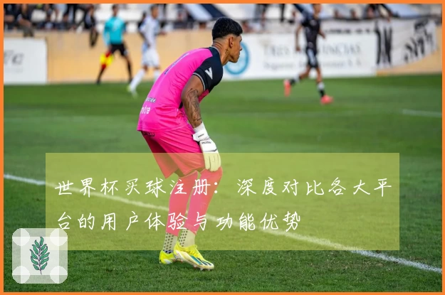 世界杯买球注册：深度对比各大平台的用户体验与功能优势