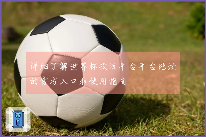 详细了解世界杯投注平台平台地址的官方入口和使用指南