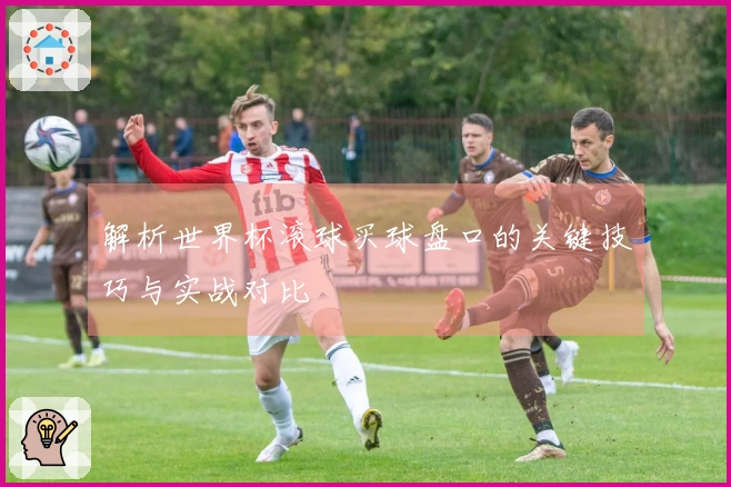 解析世界杯滚球买球盘口的关键技巧与实战对比