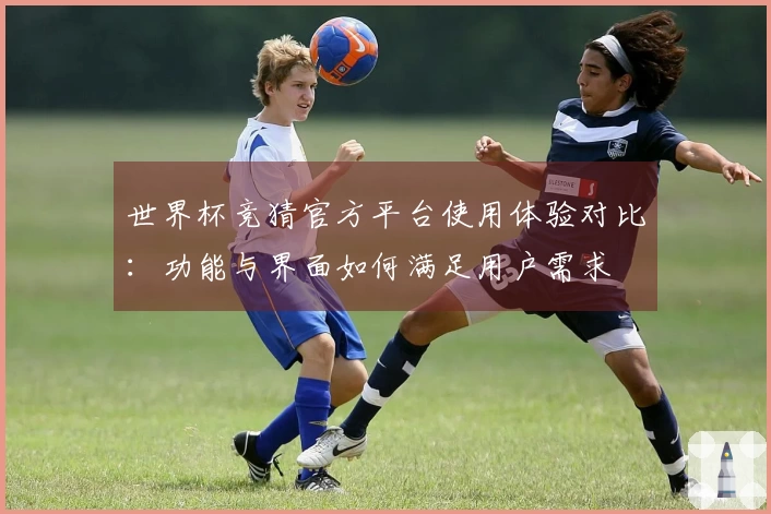 世界杯竞猜官方平台使用体验对比:功能与界面如何满足用户需求